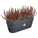 vibia campana trough 50cm anthracite